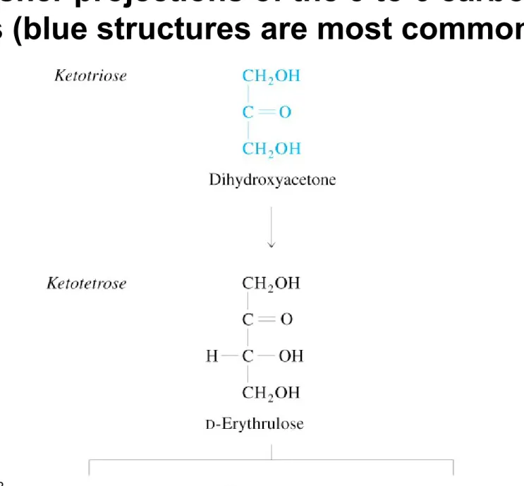 Fig 8.5  Fisher projections of the 3 to 6 carbon  D-ketoses (blue structures are most common)