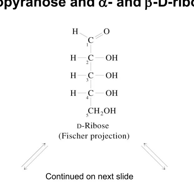Fig 8.9  Cyclization of D-ribose to form - and 