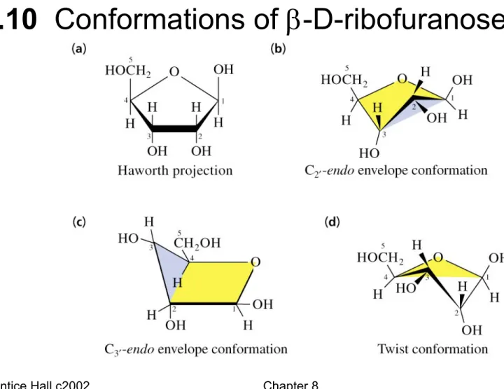 Fig. 8.10  Conformations of -D-ribofuranose