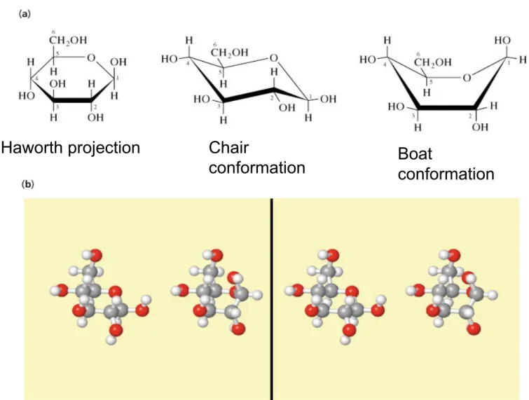 Fig 8.11 Conformations of -D-glucopyranose