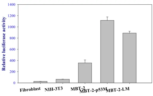 Fig 2 Transcriptional activity of hTERT promoter in murine cell lines.   