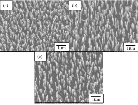 Fig3 SEM images of CNTs treated by (a)50W (b)100W (c)150W Ar plasma for  30min. 