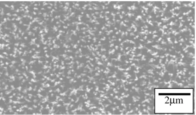 Fig7 Top-view SEM image of CNTs after treatment in a TiCl 4 / H 2  plasma for 10min. 