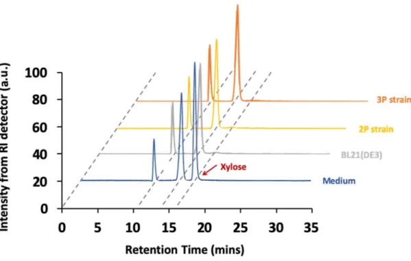 Figure 2 HPLC spectrum of the medium as well as BL21(DE3), 2P and 3P strain  cultured in the CBD with 5% CO 2  bubbling
