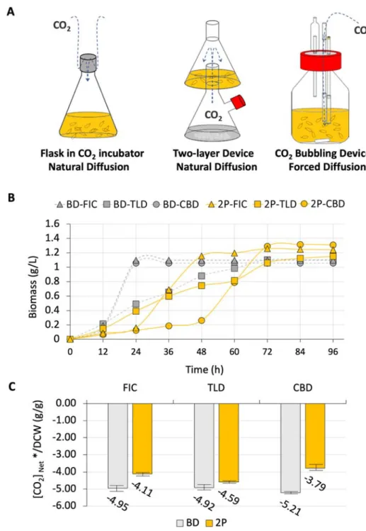 Figure 3 The effect of bioreactoron the capability of CO 2  assimilation.   