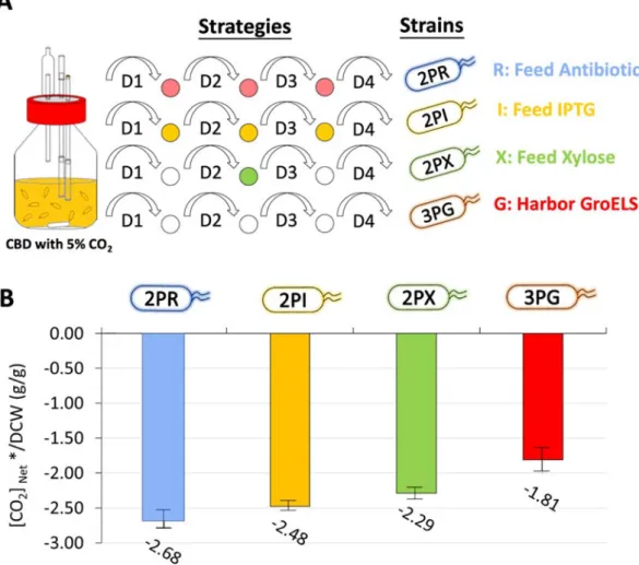 Figure 6 Different strategies to enhance the performance of CO 2  assimilation.   