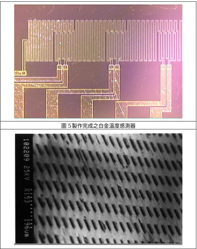 圖 5 製作完成之白金溫度感測器 