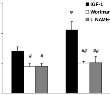 Fig 4.    0204060 Lean ObeseVasorelaxation(% precontraction) IGF-1 Wortmannin+IGF-1L-NAME+IGF-1*######