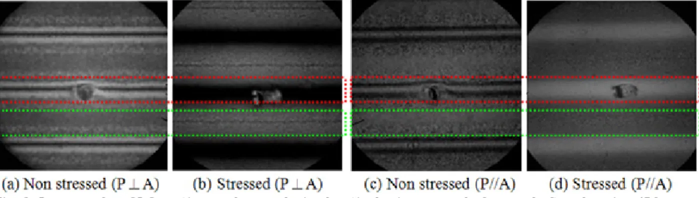 Fig. 2. Images of an SLC grating under a polarized optical microscope before and after shearing (50  μm); P, polarizer; A, analyzer.