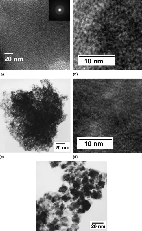 FIG. 4. Bright-field TEM images of mesoporous WO 3 after calcined at (a) 200 °C, (c) 300 °C, and (e) 350 °C for 5 h; (b) and (d) show HRTEM images of (a) and (c), respectively.