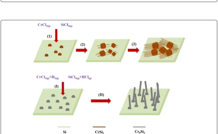 Figure 3 Schematic illustration of the growth mechanism. (1) 4CrCl 3(g) + 11Si (s) → 4CrSi 2(s) + 3SiCl 4(g) ; 4SiCl 4(g) + 2CrCl 3(g) → 2CrSi 2(l) + 11Cl 2(g) 