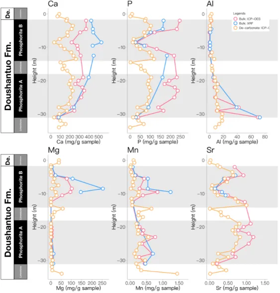 Fig. 5. Temporal variations in some major elements (Ca, P, Al, Mg, Mn, and Sr) for the Doushantuo  phosphate rocks