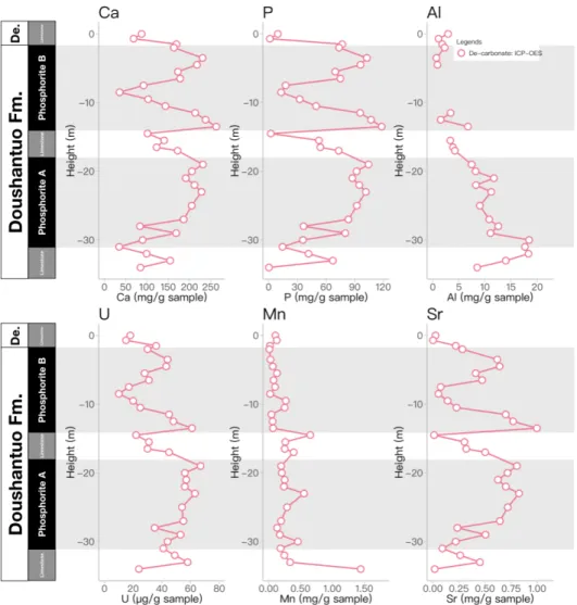 Fig.  6. Temporal variations in some major elements (Ca, P, Al, Mg, Mn, and Sr) for the Doushantuo  phosphate rock de-carbonated fraction obtained using ICP-OES