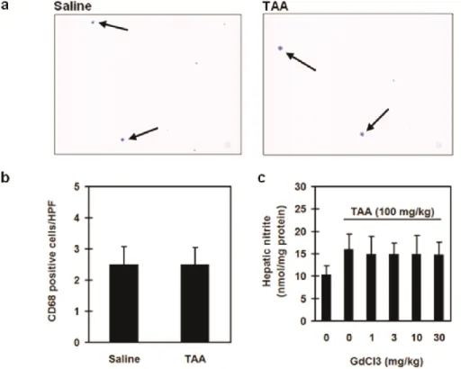 Figure  3.  Effect  of  thioacetamide  (TAA) on hepatic  macrophages  infiltration.  In CD68 im- im-munostain, rats were divided into two groups
