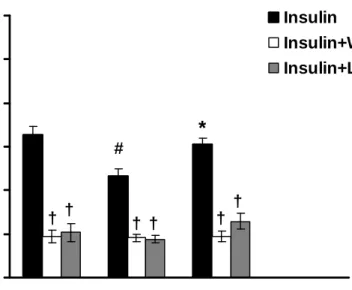 Figure 5. Effects of wortmannin (3x10-7 M) and L-NAME (10-5 M) on the insulin (3x10-7  M)-mediated vasorelaxation of aortic strips obtained from the Con, DM, and DM+Ex groups