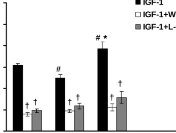 Figure 6. Effects of wortmannin (3x10-7 M) and L-NAME (10-5 M) on the IGF-1 (10-8 M)  -mediated vasorelaxation of aortic strips obtained from the Con, DM, and DM+Ex groups