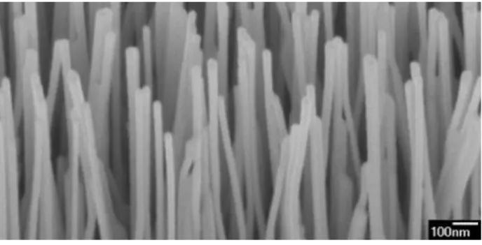 Figure 1.FESEM images with 30 o  title angle of (a) 
