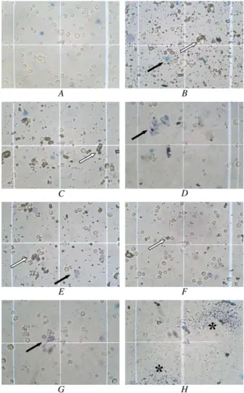 Figure 4 shows the percentages of cells damaged in cultures exposed for 1, 3, 10, or 30 minutes to BSS, V, 1/10 cTA, or 1/10 –vTA