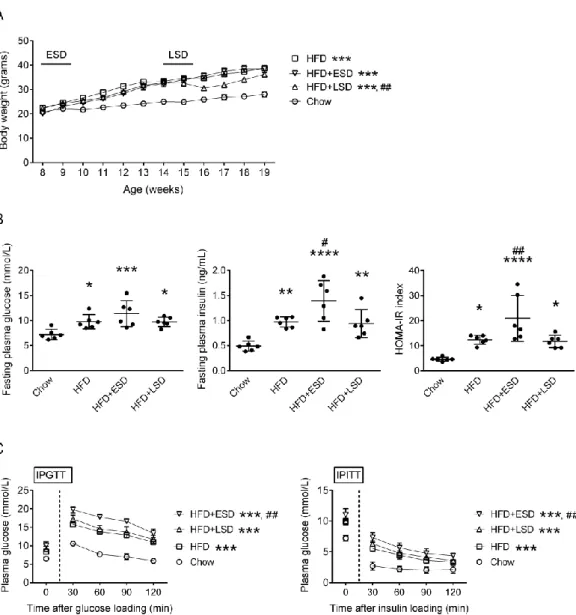 Figure 1.    Effects of SD on the HFD-induced obesity and insulin resistance.    (A)  The body weight gains of mice