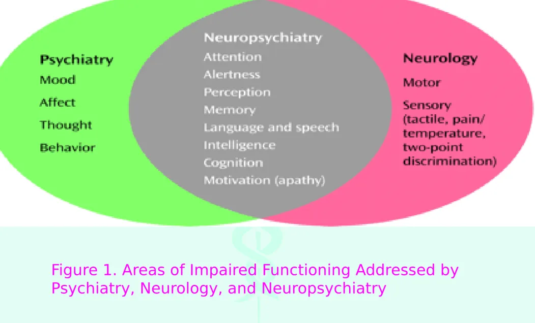 Figure 1. Areas of Impaired Functioning Addressed by  Psychiatry, Neurology, and Neuropsychiatry 