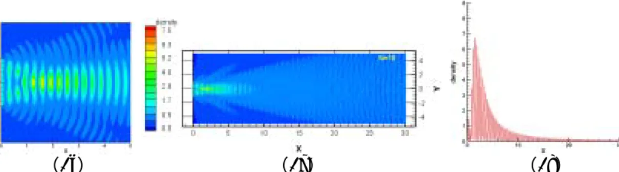 Fig. 1. The distribution of density probability for N = 10: 1a) (0, 5)X(-2.5, 2.5), 1b) (0,  30)X(-5,5), 1c) at the centerline