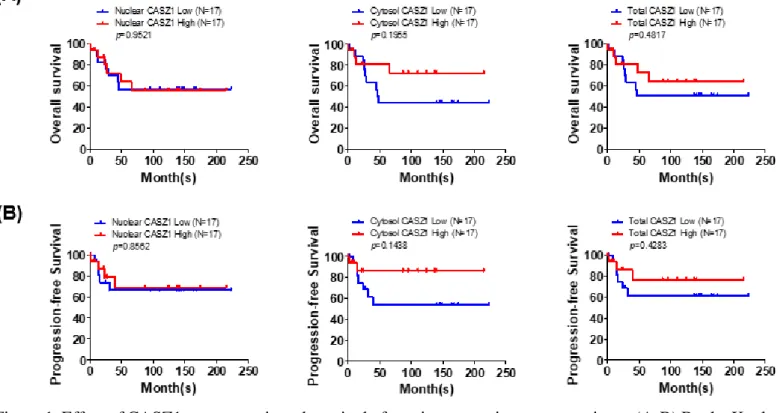 Figure 1. Effect of CASZ1 on prognosis and survival of mucinous ovarian cancer patients