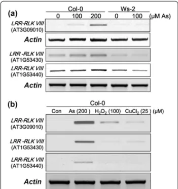 Table S8). Genes that have previously been reported to be As inducible or pathways were not affected by short-term As exposure (Table 1)