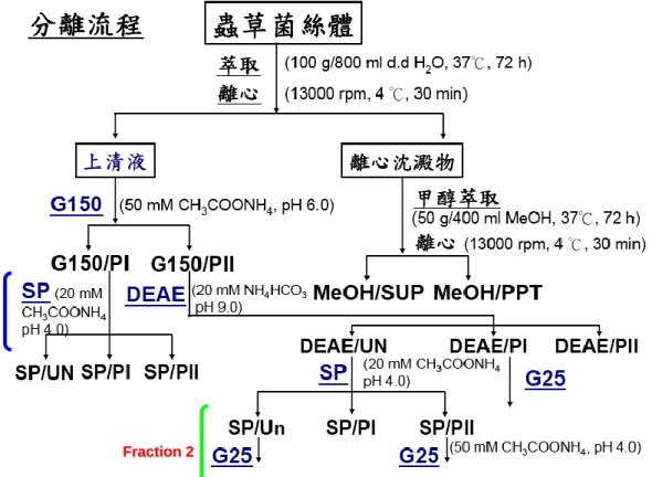 Figure 3. Extraction and fractionation protocol of C. sinesis mycelium. 