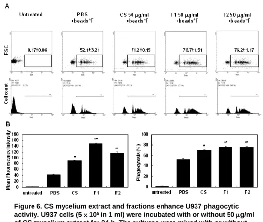 Figure 6. CS mycelium extract and fractions enhance U937 phagocytic activity. U937 cells (5 × 10 5 in 1 ml) were incubated with or without 50 g/ml  of CS mycelium extract for 24 h