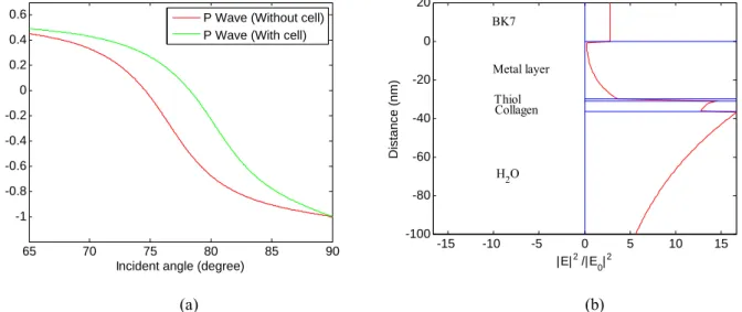 Fig. 1. (a) Phase reflectivity spectrum based on a three-layer configuration: BK7/Ag (30nm)/H 2 O  (Red line: bio-substrate without cell; Green line: bio-substrate with cell)