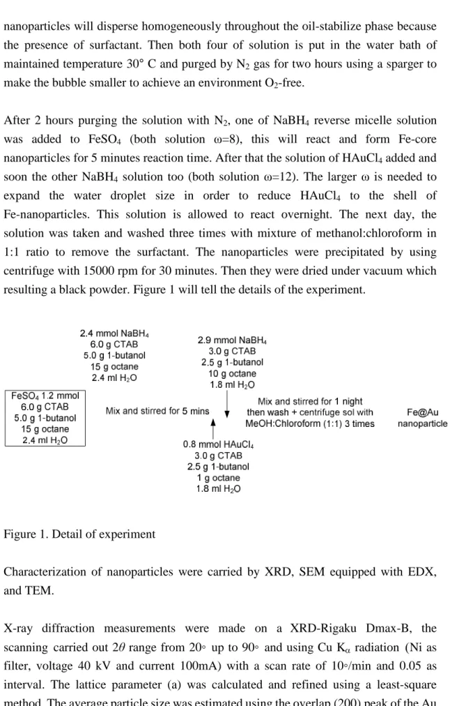 Figure 1. Detail of experiment
