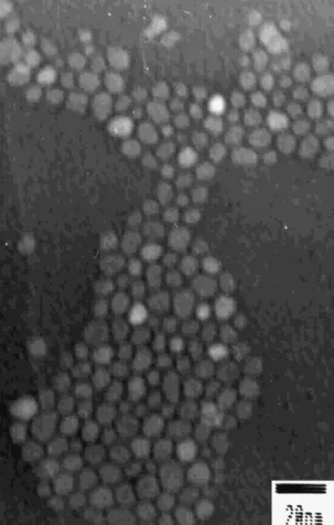 Figure 2. XRD pattern of Fe/Au nanoparticles