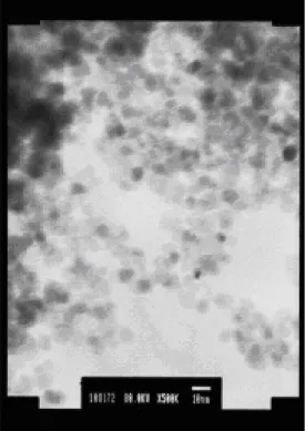 Fig. 2 TEM photograph of Fe 3 O 4 @biyer lauric acid nanoparticles The bar is 10 nm.