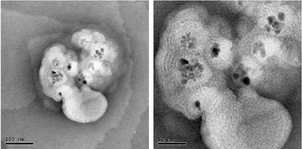 Fig. 8 The serious aggregation of the Fe 3 O 4 @PMMA@lipid nanoparticles without the sonication.