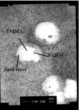 Fig. 9 The nanoparticles after sonication