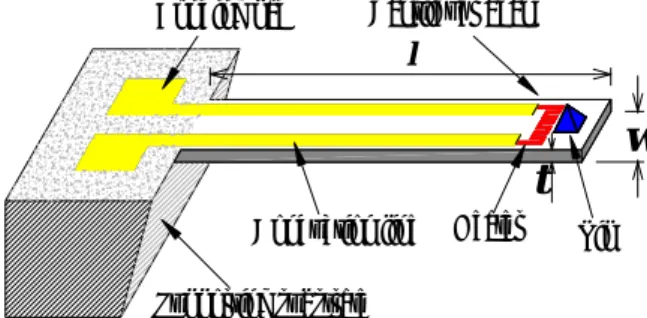 Table 1: All design parameters for the micro-probes. 