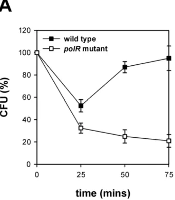 TABLE 1. Virulence of V. vulnificus strains in untreated or irontreated mice 