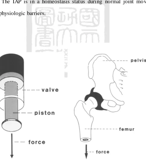 Fig 1.2 Piston-and-valve  model of a synovial  joint (Habermeyer  et al., 1992) 