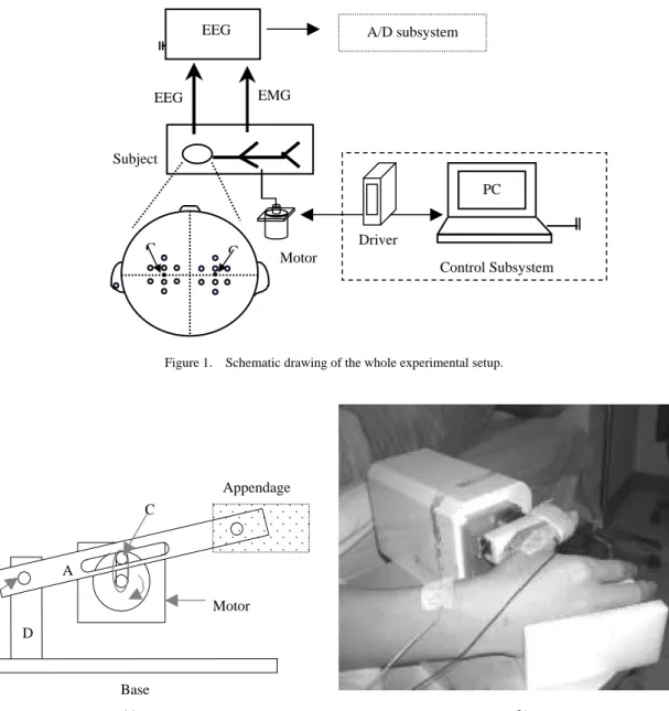 Figure 1.    Schematic drawing of the whole experimental setup. 