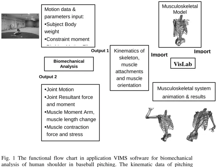 Fig.  1  The  functional  flow  chart  in  application  VIMS  software  for  biomechanical  analysis  of  human  shoulder  in  baseball  pitching