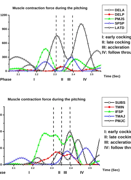 Fig. 5 Muscle contraction forces in shoulder during the pitching motion.
