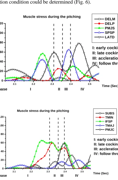 Fig. 6 The muscle stress in the pitching motion.