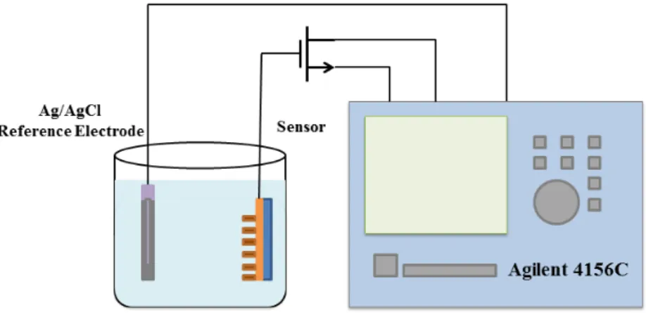 Fig. 2. Measurement system of CuO EGFET pH sensor. 