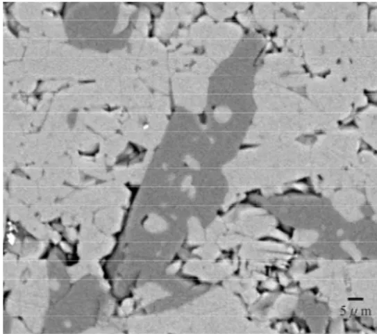 Fig. 4 BEI image of bulk composition Di70.    The  composition of dark phase is En90 and bright phase Di90