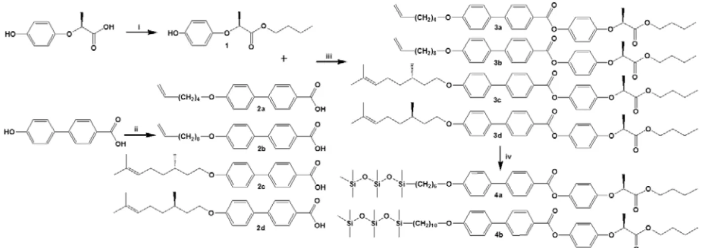 Figure  1.  Reagents:  i,  HCl(g),  BuOH;  ii,  KOH,  KI,  EtOH,  6-bromohex-1-ene/10- 6-bromohex-1-ene/10-bromodec-  1-ene/(S)-(+)-Citronellyl  bromide/(R)- (−)-Citronellyl  bromide;  iii, 