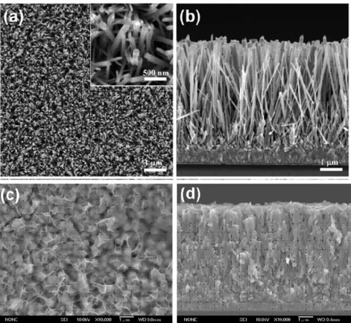 Figure 3 shows the top-view and cross-sectional SEM images of the aligned ZnO NWs and the NW-array/