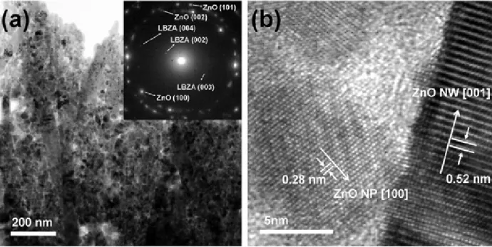Figure 4 (a) Typical low-magnification TEM image and the corresponding SAED pattern (inset) of NW  array/NP composite