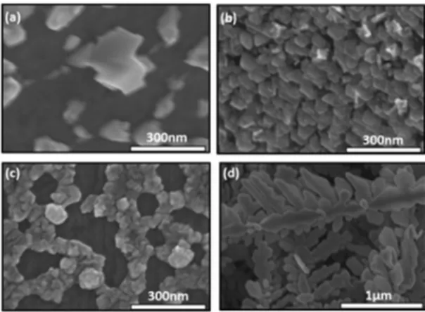 Fig. 3. (a-c) SEM images of Ag particles plated on exposed Cu surface after the growth of graphene islands on Cu under different conditions; and (d) SEM image of tree-like Ag plated on Cu without graphene template