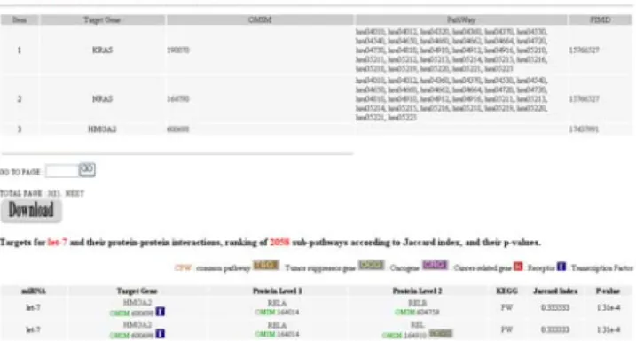 Figure 1. MiRNA let-7 target genes, and its targeting  pathways for lung tumor, with common expression in KEGG  pathways
