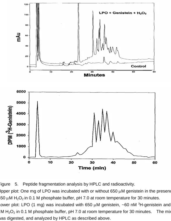 Figure 5. Peptide fragmentation analysis by HPLC and radioactivity.